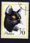 Stamps Poland -  kot europejski