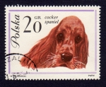 Stamps Poland -  COCKER SPANIEL