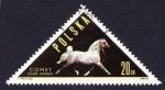 Stamps Europe - Poland -  COMET OGIER ARABSKI