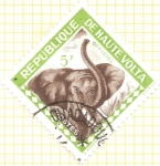 Stamps Africa - Burkina Faso -  ALTO VOLGA - Elefante
