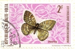 Stamps Burkina Faso -  ALTO VOLGA - Mariposa 1