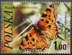 Stamps Poland -  nymphalis polychloros