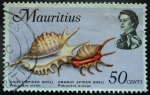Stamps Mauritius -  Lambis violacea