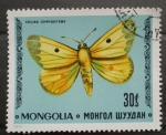 Stamps Mongolia -  colias chrysoteme