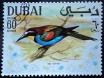 Stamps United Arab Emirates -  Bee eater