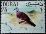 Stamps United Arab Emirates -  Turtle dove