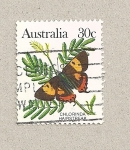 Stamps Australia -  Mariposa Clorinda