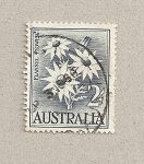 Sellos de Oceania - Australia -  Flor flannel