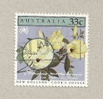 Stamps Australia -  Hibiscus