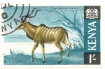 Stamps Kenya -  Impala