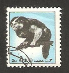 Stamps United Arab Emirates -  ajman - fauna