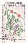 Stamps : Africa : Central_African_Republic :  Protección de las plantas