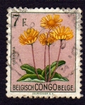 Stamps Republic of the Congo -  GERBERA