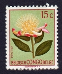 Stamps Republic of the Congo -  PROTEA