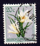 Stamps Republic of the Congo -  VELLOZIA
