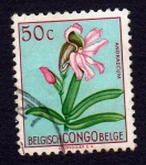 Stamps Republic of the Congo -  ANGRAECUM
