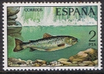 Stamps Spain -  FAUNA. PECES