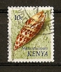 Stamps Africa - Kenya -  Conchas.