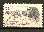 Stamps Czechoslovakia -  50 Aniversario Asoc. Perros de Caza.