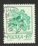 Sellos de Europa - Polonia -  Flora