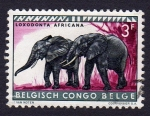 Sellos de Africa - Repblica del Congo -  LOXODONTA AFRICANA