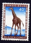 Stamps : Africa : Republic_of_the_Congo :  GIRAFFA