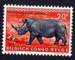 Stamps : Africa : Republic_of_the_Congo :  CERATOTHERIUM SIMUM