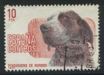 Stamps Spain -  E2711 - Perdiguero de Burgos