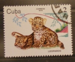 Stamps Cuba -  leopardo