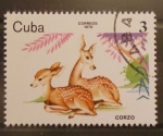 Stamps Cuba -  corzo