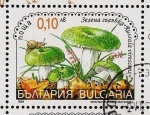 Stamps Bulgaria -  SETAS-HONGOS: 1.120.041,00-Russula Virescens