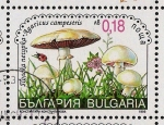 Stamps Bulgaria -  SETAS-HONGOS: 1.120.042,00-Agaricus campestris