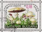 Sellos de Europa - Bulgaria -  SETAS-HONGOS: 1.120.042,00-Agaricus campestris