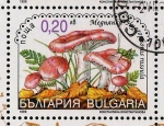 Sellos de Europa - Bulgaria -  SETAS-HONGOS: 1.120.043,00-Hygrophorus russula