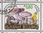 Stamps Bulgaria -  SETAS-HONGOS: 1.120.044,00-Lepista nuda
