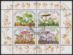 Stamps Bulgaria -  SETAS-HONGOS: 1.120.040,00-SERIE COMPLETA