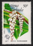 Stamps : America : Antigua_and_Barbuda :  FLORES: 6.105.012,00-Alpinia naturans