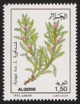 Stamps Algeria -  FLORES: 6.102.021,00-MEDICINAL-Ajuga iva