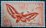 Stamps Spain -  Sahara / Pro-Infancia 1964