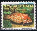 Stamps Australia -  hoat s wrasse