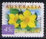 Stamps Australia -  Hibbertia Scandens (5)