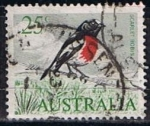 Sellos de Oceania - Australia -  Scarlet Robin