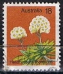 Stamps Australia -  Scott  564  Helchrysum Thomsonil
