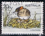 Stamps Australia -  Scott  683  Little Grebe