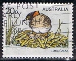 Sellos de Oceania - Australia -  Scott  683  Little Grebe