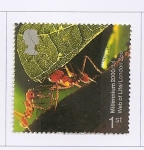 Stamps United Kingdom -  Milenium +14