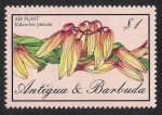 Stamps America - Antigua and Barbuda -  FLORES: 6.105.026,00-Kalanchoe pinnata
