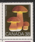 Stamps Canada -  SETAS-HONGOS: 1.126.002,00-Boletus miravilis