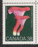 Stamps Canada -  SETAS-HONGOS: 1.126.003,00-Cantarellus cinnabarinus