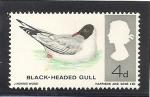 Stamps United Kingdom -  Pájaros.- Gaviota de cabeza negra